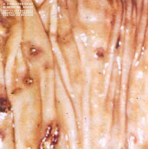 Disgusted Geist - Medicine Noose - split